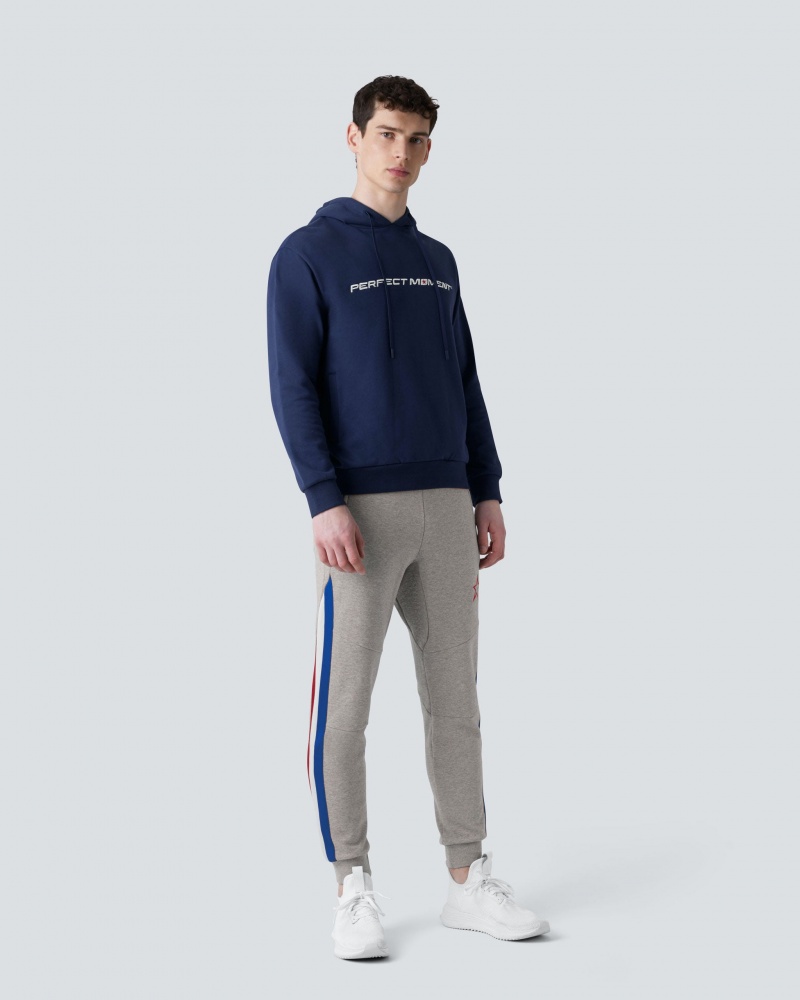 Perfect Moment Super Stripe Course Piste Pant Grise | 510976UCN